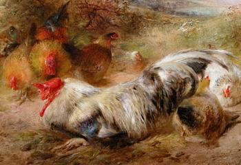  Poultry 115